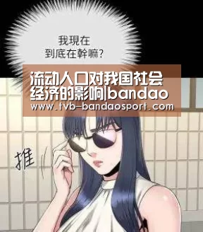 流动人口对我国社会经济的影响|bandao(图1) 流动人口对我国社会经济的影响|bandao(图1)