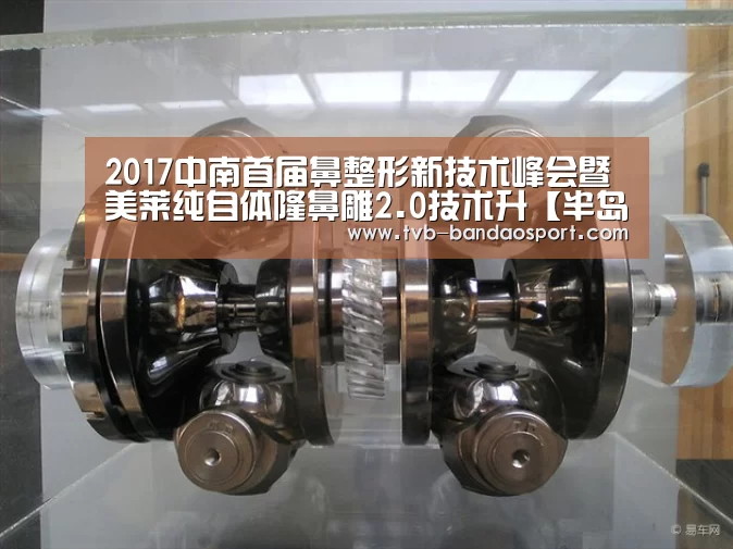 2017中南首届鼻整形新技术峰会暨美莱纯自体隆鼻雕2.0技术升【半岛体育网址】(图4) 2017中南首届鼻整形新技术峰会暨美莱纯自体隆鼻雕2.0技术升【半岛体育网址】(图4)