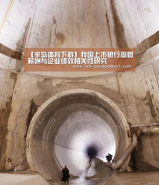 【半岛体育下载】我国上市银行高管薪酬与企业绩效相关性研究(图1) 【半岛体育下载】我国上市银行高管薪酬与企业绩效相关性研究(图1)