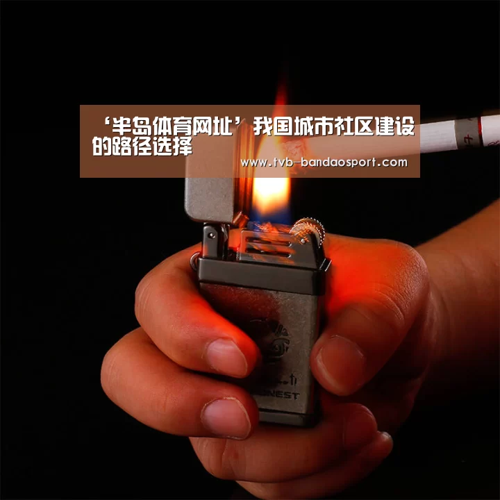 ‘半岛体育网址’我国城市社区建设的路径选择(图1) 半岛体育
