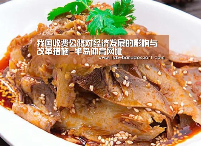 我国收费公路对经济发展的影响与改革措施-半岛体育网址(图3) 半岛体育网址