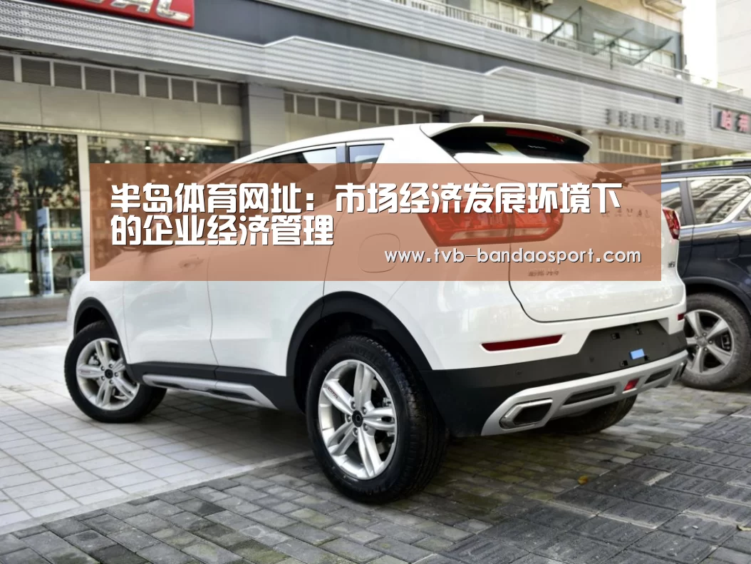 半岛体育网址:市场经济发展环境下的企业经济管理(图1) 半岛体育