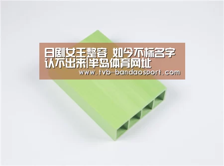 日剧女王整容 如今不标名字认不出来|半岛体育网址(图2) 半岛体育官网