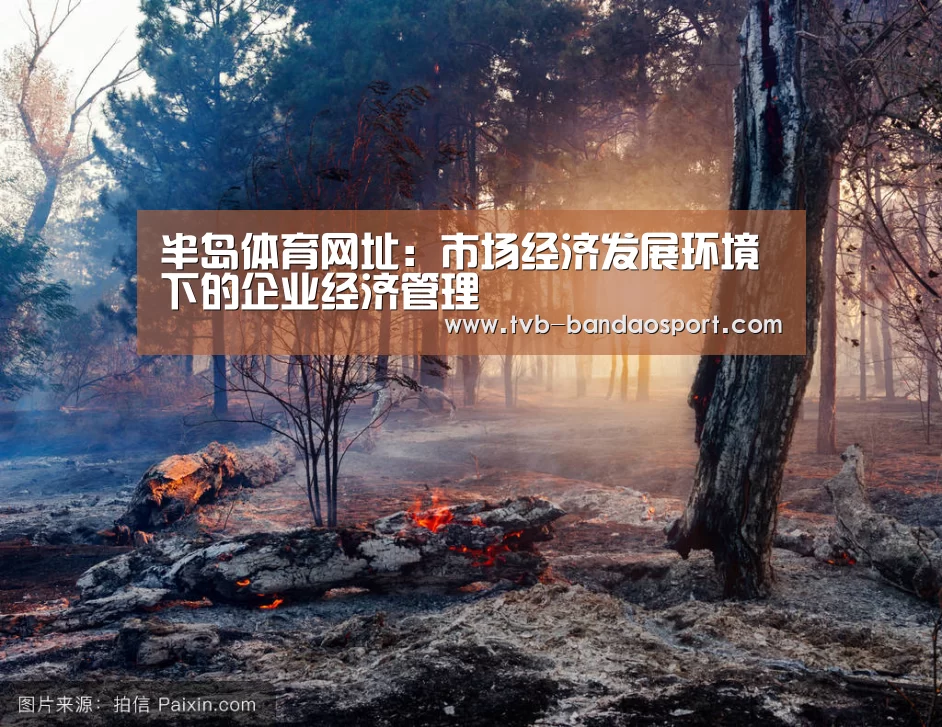 半岛体育网址:市场经济发展环境下的企业经济管理(图3) 半岛体育网址